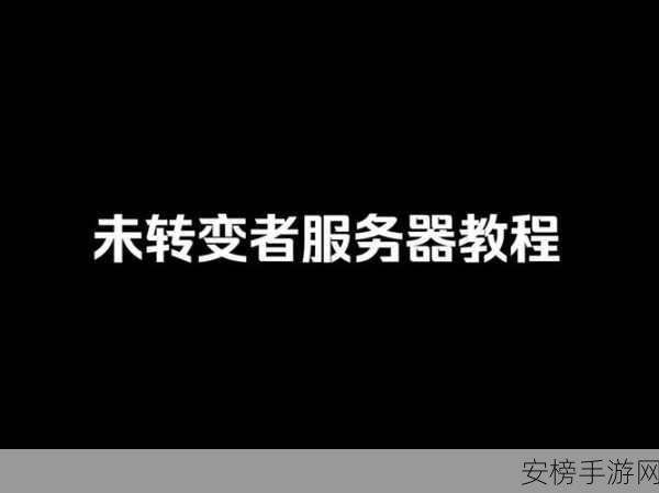 未转变者指令输入秘籍大揭秘