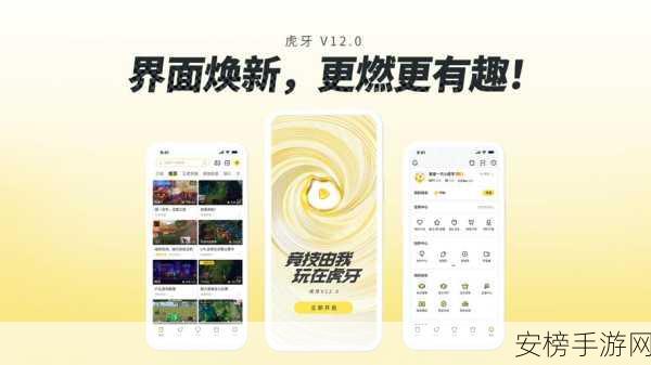 虎鱼直播APP，筑牢信息安全防线，解锁直播新体验，精彩赛事不容错过！