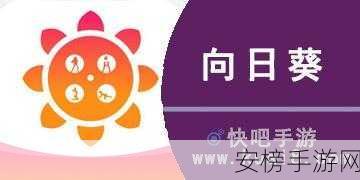 向日葵视频app站长统计：向日葵视频平台数据分析中心