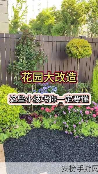 亲小花园 技巧：打造梦幻迷你庭院：居家绿植布置秘籍