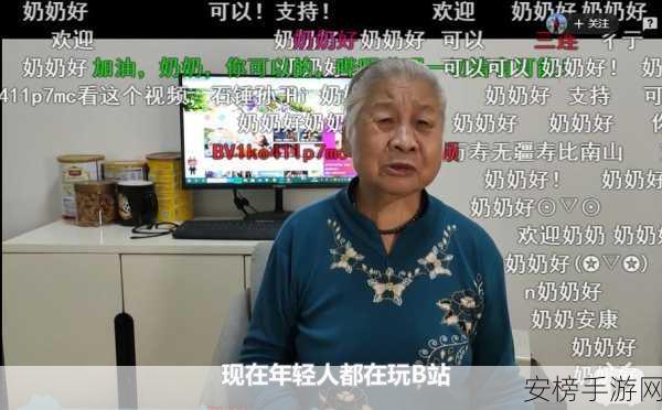 老太太cheapwindowsvps80岁：80岁高龄老人的数字生活新篇章