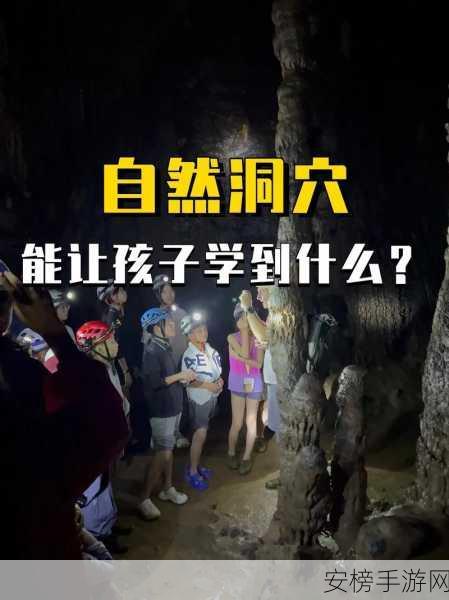 探索巨大洞窟，语言支持全解析