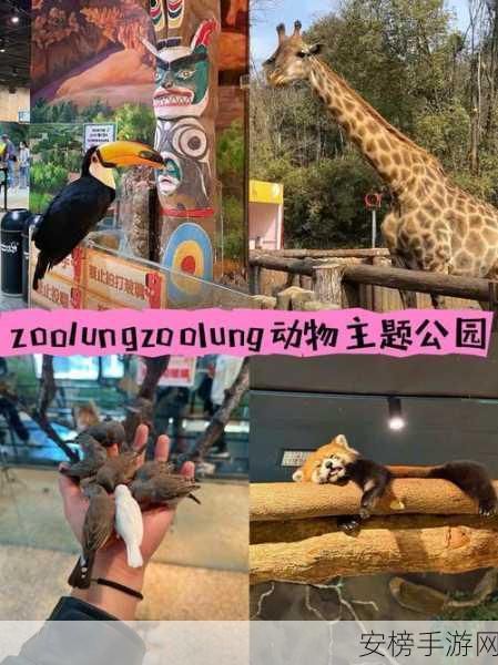 ZookeeperK9牧场：ZooKeeper宠物乐园