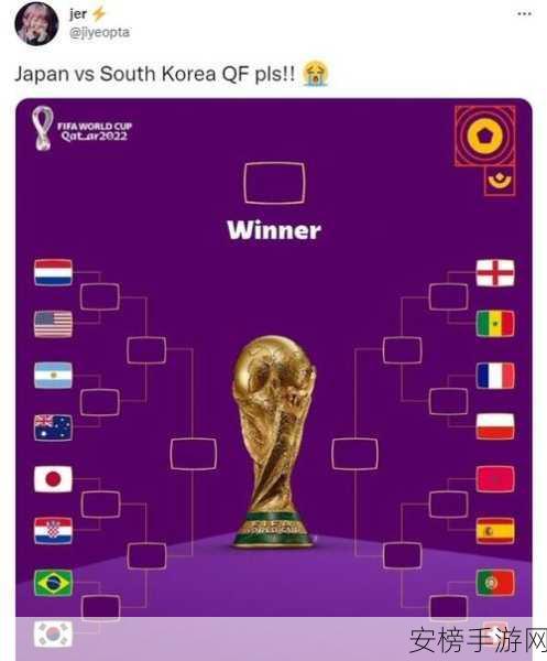 欧美vs韩国vs日本vs：```