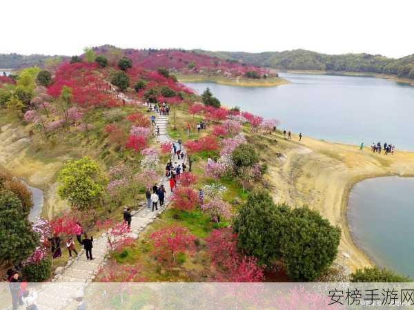 桃花岛cm7官网的特色介绍：桃花岛cm7平台独特魅力解析