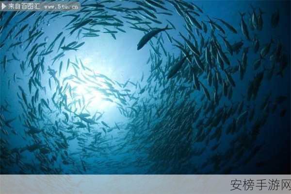 深海巨腹鱼群：海底幽灵舰队