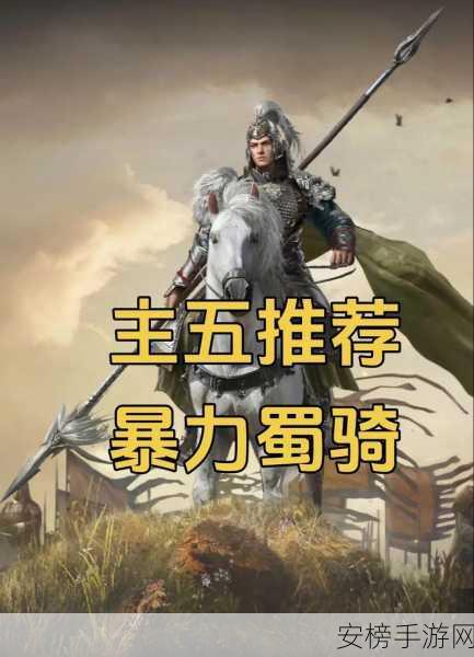 三国谋定天下无双骑阵容怎么玩 三国谋定天下无双骑阵容推荐