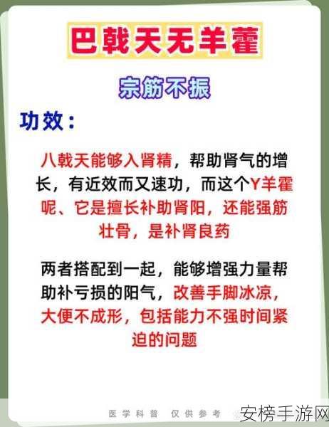 丰年经继拇十大功效：丰年经继拇的养生保健功效大全