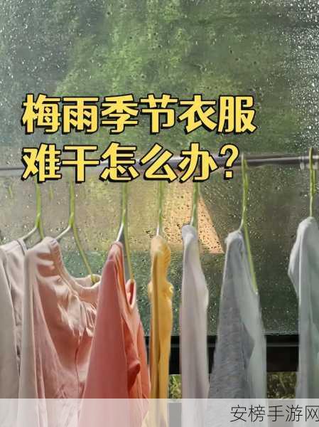 办公室能不能干湿你的衣服：办公室晾衣服会不会影响衣物干燥