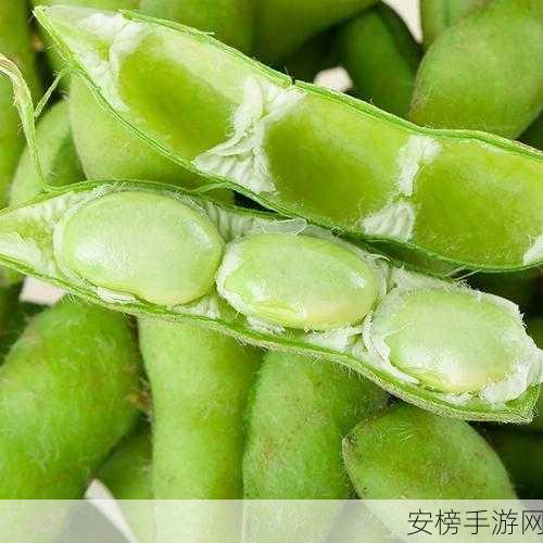 毛豆免费卡密：豆荚专享兑换码