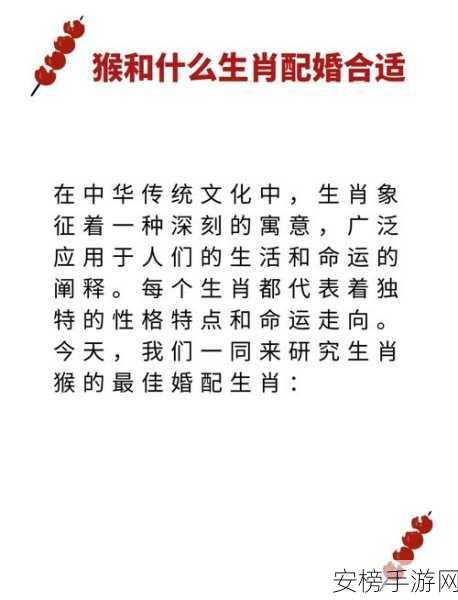 静观其变的生肖最佳答案：耐心等待的生肖运势解析