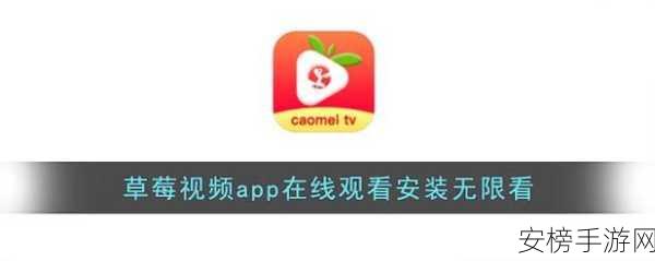 草莓视频成人app 免费：成人娱乐视频平台