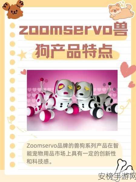 ZOOMSERVO美国：```