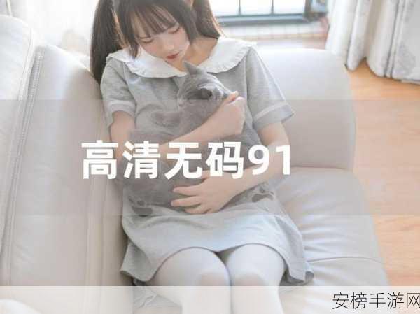 91破解版apk：91助手高级版