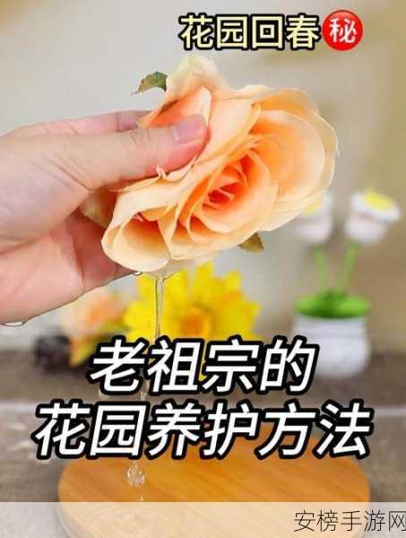 亲小花园的技巧图片：花园养护小贴士图解