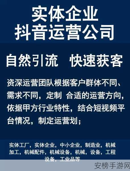 9.1短视频网页入口网站推广：短视频营销引流平台搭建与推广