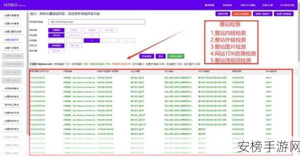 seo短视频网页入口引流：视频SEO：打造高转化网页流量入口