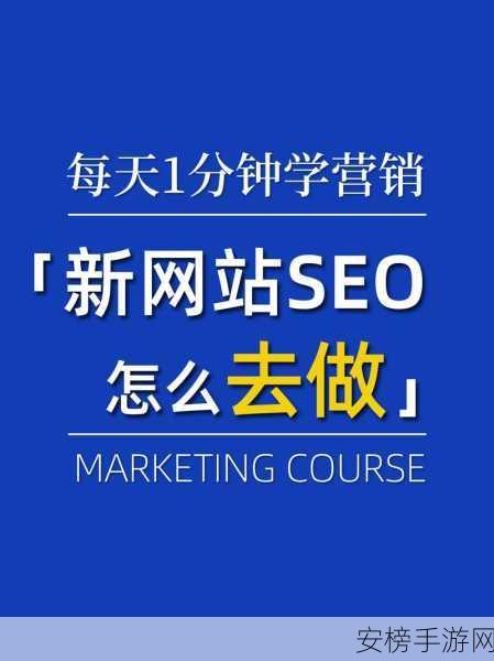 seo短视频网页入口引流：视频SEO：打造高转化网页流量入口