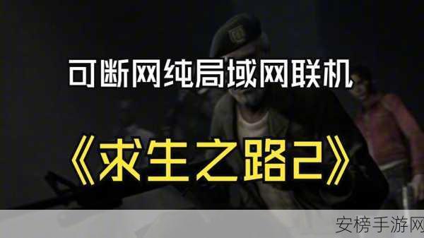 求生之路单机版怎么局域网联机：如何在局域网中进行求生之路单机版多人游戏