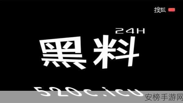 黑料不打烊肾虚十八连万篇长征：揭秘：网络暗流中的极限挑战