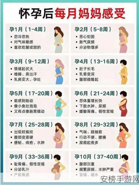 产子岛～每周怀孕生育7次：```