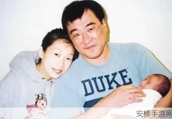 李宗盛和林忆莲为什么离婚：林忆莲与李宗盛：一段婚姻的终章