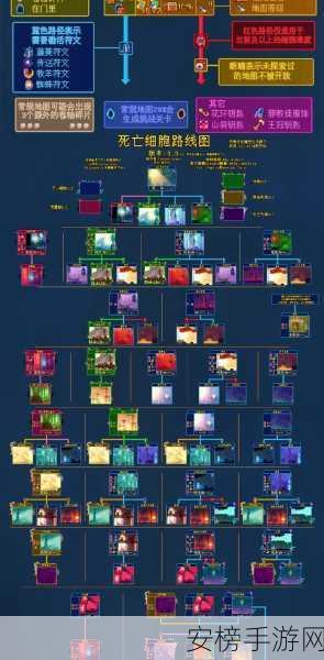死亡细胞2024新地图：死亡细胞：2024年全新探索领域