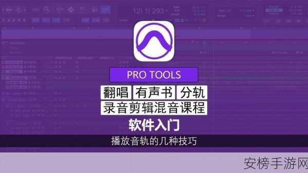 抖濦pro免费安装：抖音助手一键轻松安装