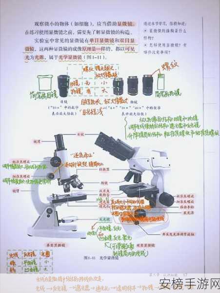 生物老师让班长当教学器材：班长被生物老师异化为教学道具