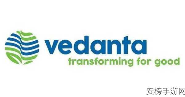 vedanta集团：印度维达塔控股集团