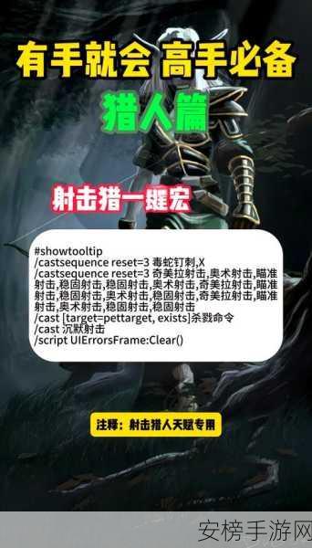 魔兽世界怀旧服射击猎人宏：魔兽世界经典怀旧服猎人连击宏指南