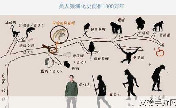 非洲人性功能强大跟什么有关？：探究非洲人体质特征的科学原因