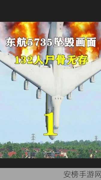 mu5735外网揭秘：东航事故调查深度分析