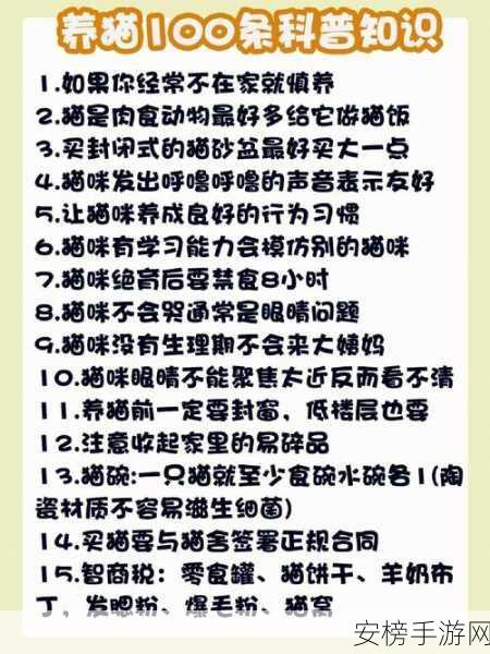 做你的猫，配置要求全解析，畅玩秘籍在此！